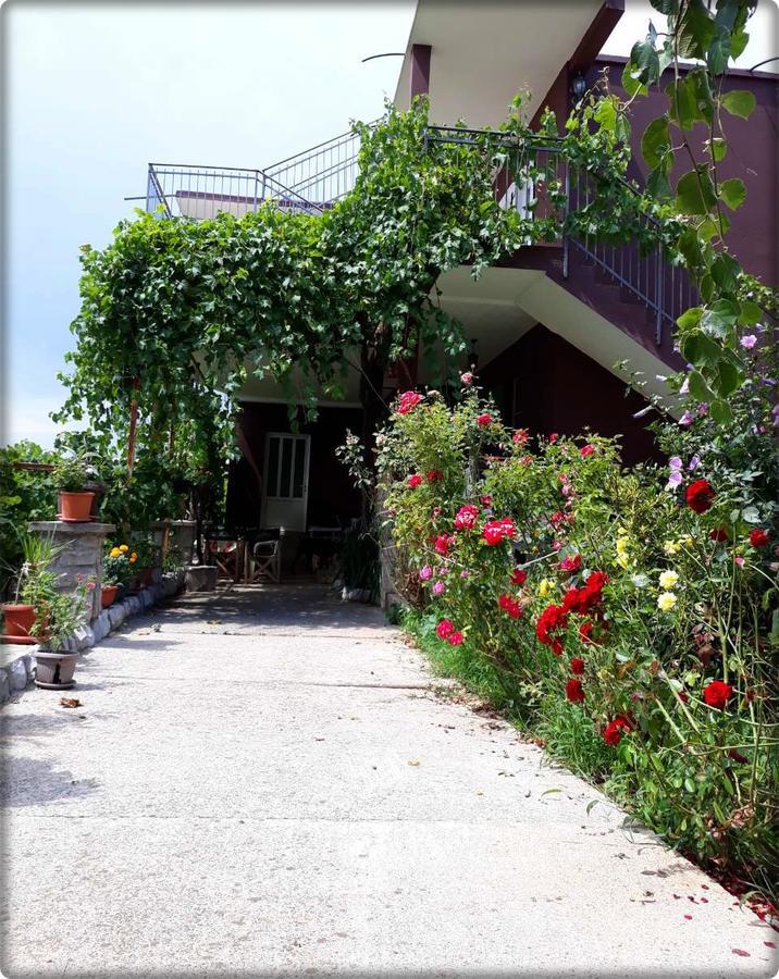 Apartmani Labovic Budva Extérieur photo